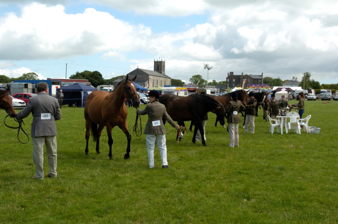 Adamstown Agricultural Show 2016