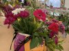 IMG_0037