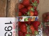 IMG_0067